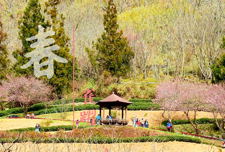 三盛國際旅行社網站作品圖2