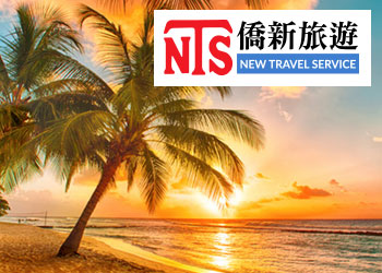 網頁設計作品 - 僑新旅行社